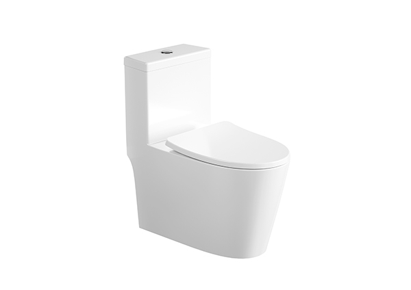 One-Piece Toilet